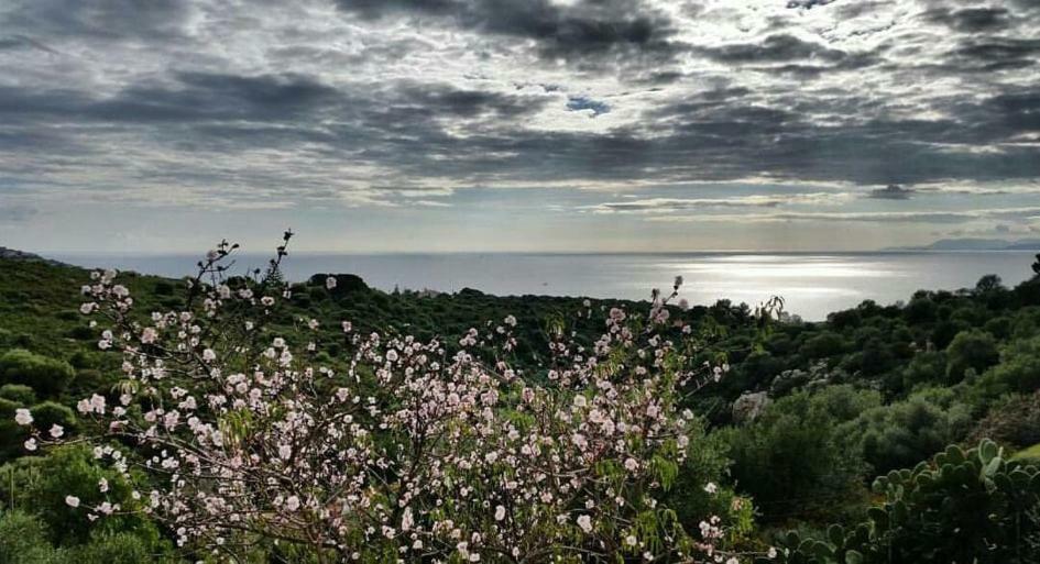 Salmagilandia Hotel Terra Mala Bagian luar foto