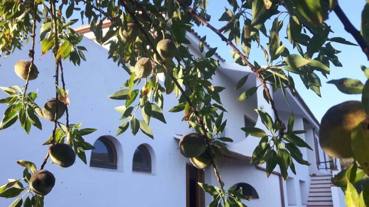 Salmagilandia Hotel Terra Mala Bagian luar foto